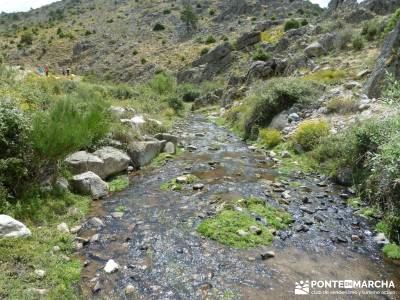 Descendiendo el Río Aceña;excursiones sierra de madrid el paseo el escorial rutas por riaza